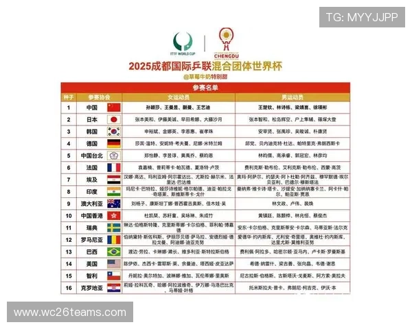 详细解读2024年欧洲区世界杯预选赛赛程表，提前了解每轮比赛的时间安排与关键赛事