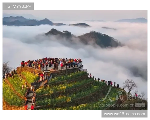 买球网站有哪些优质选择，详细介绍各大知名平台的特色与用户评价